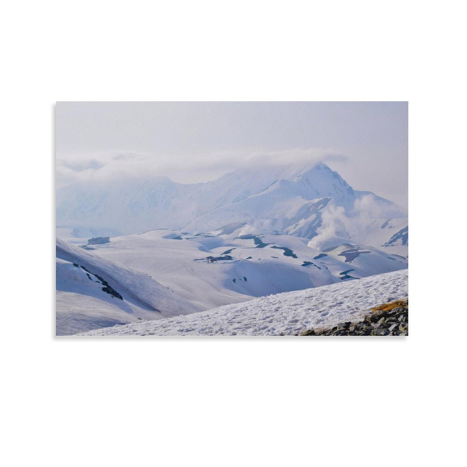 Amazon.co.jp: 絵画 富山県 立山 室堂の雪の残る春 アートパネル